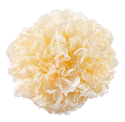 Tremella Mushroom